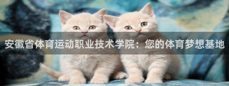 喜乐在线体育3在线注册