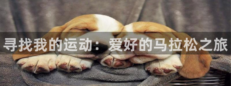 意昂4平台注册