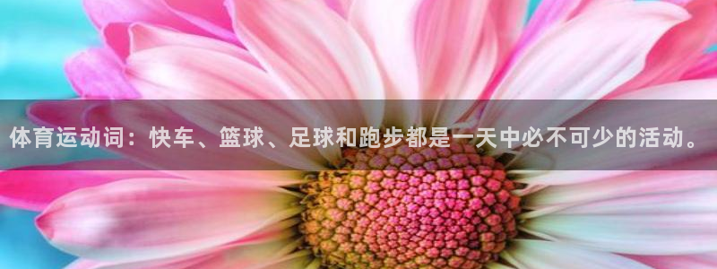 喜乐在线主管