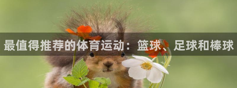 喜乐在线4登录