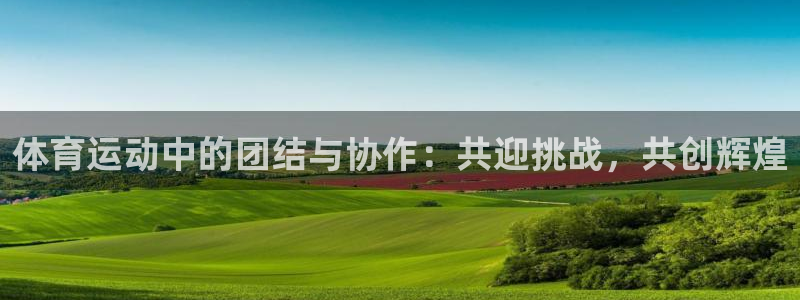 意昂的动画