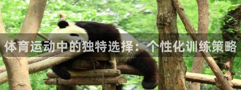 上海喜乐在线汽车电子有限公司