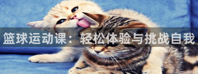 意昂体育官网