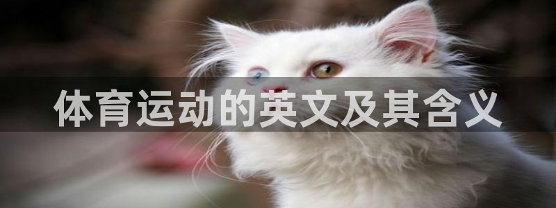 意昂平台