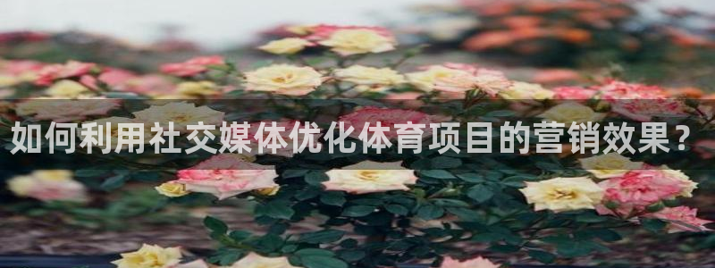 喜乐在线能源