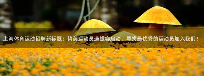 喜乐在线5招商