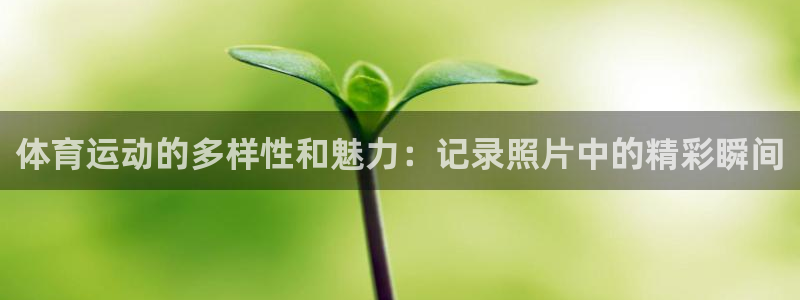 喜乐在线平台注册