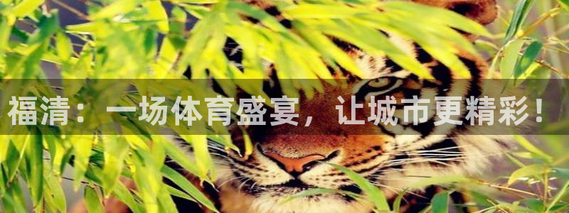 意昂3平台