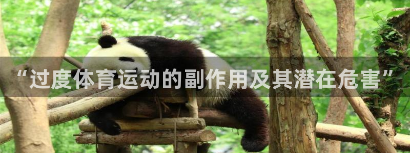 意昂代理注册官网入口