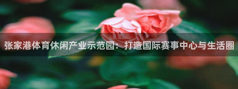 喜乐在线集团