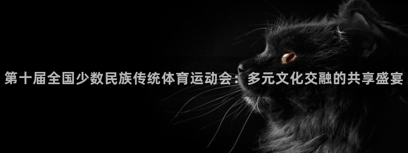 成都喜乐在线电子有限公司