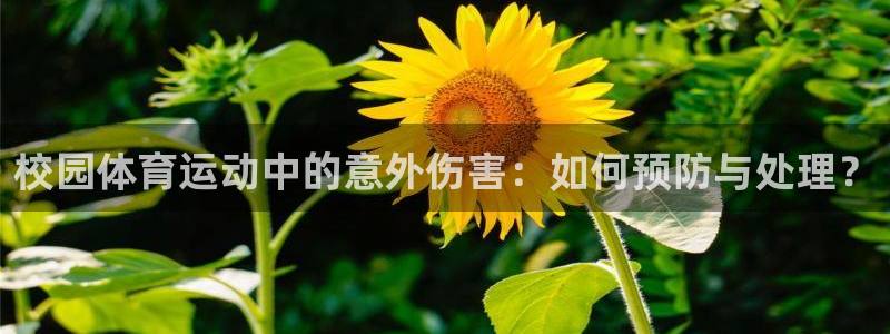 意昂平台招商
