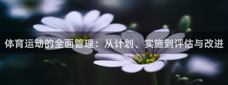 喜乐在线2平台