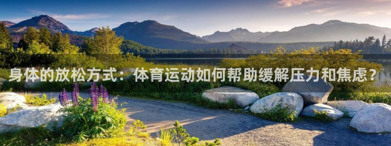 喜乐在线集团