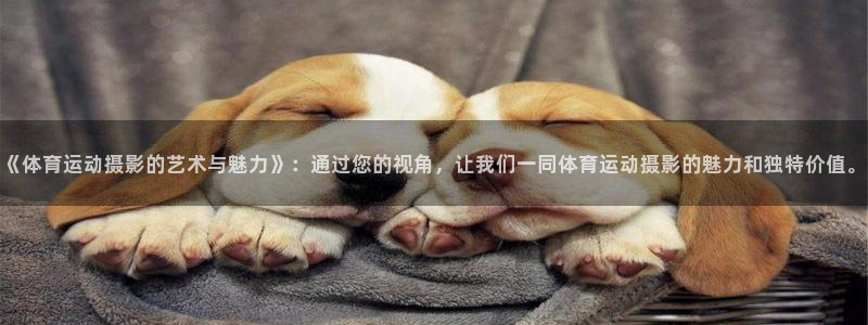 喜乐在线平台开户链接