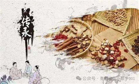 中医的发展历史
