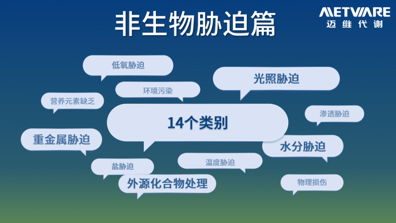 科研加速器 | 四载磨砺，功能词典2.0云端登场，科研查询从此易如反掌！