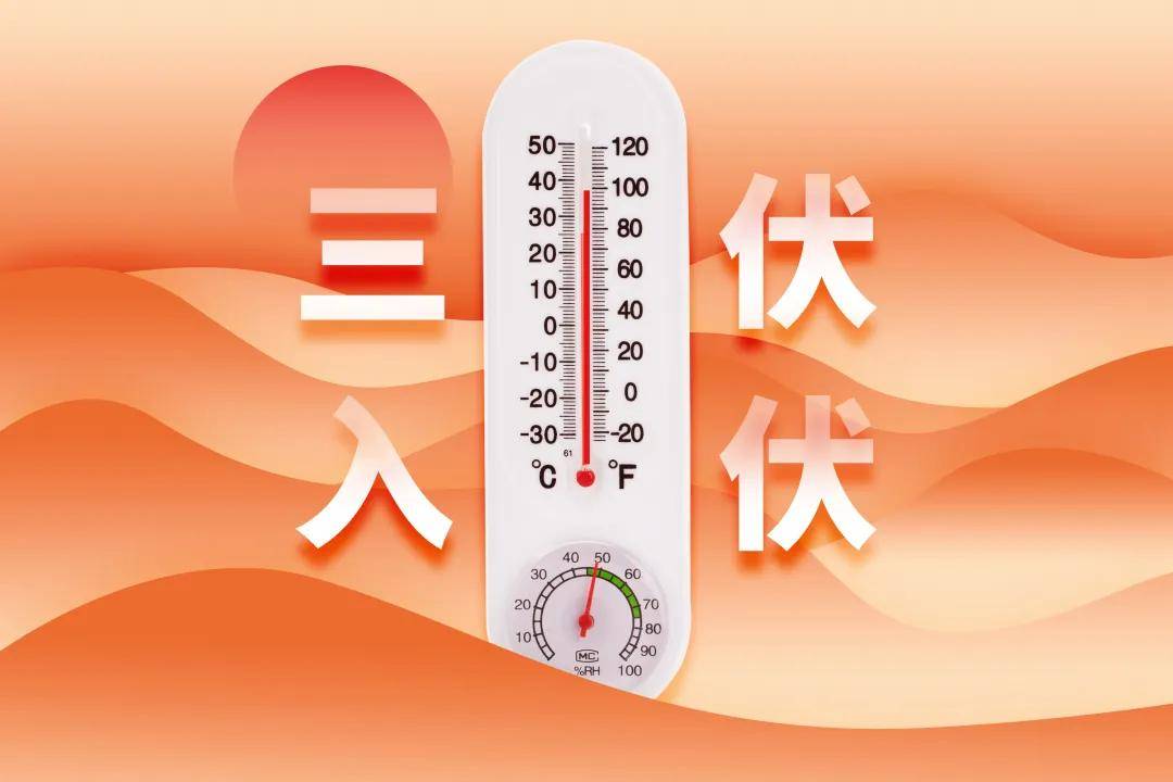 三伏天「减肥黄金期」，做到3点脂肪咔咔掉
