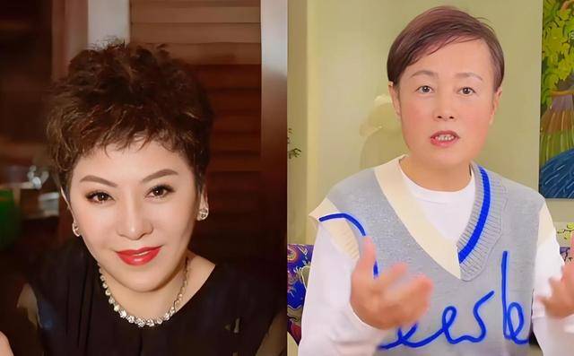 “要横回香港，内地没人惯你！”史晓燕疯狂开撕向太，网友看爽了