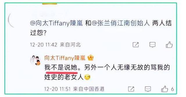 “要横回香港，内地没人惯你！”史晓燕疯狂开撕向太，网友看爽了