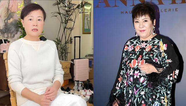 “要横回香港，内地没人惯你！”史晓燕疯狂开撕向太，网友看爽了
