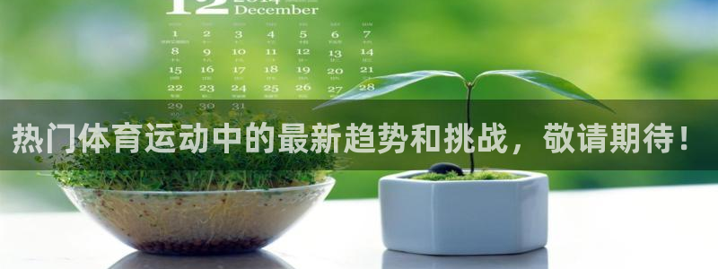 意昂总代